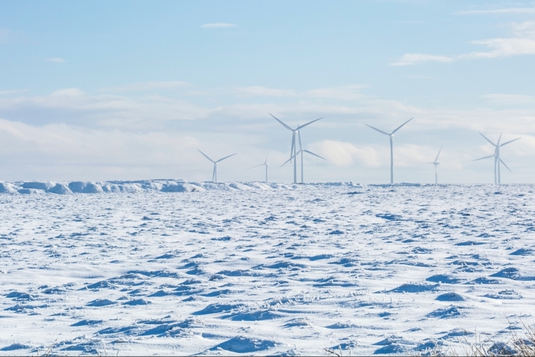 6 Faktoren beim Kauf eines Eisdetektionssystem