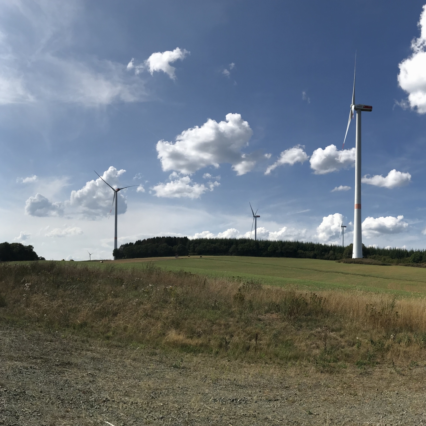 Mainova AG Case Study Mainova AG Case Study